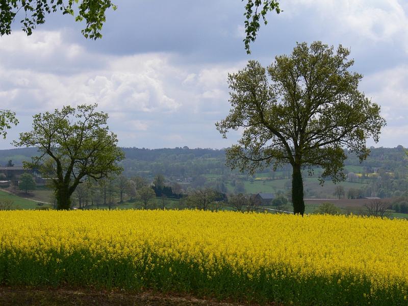 Mont Saint Michel 2010 - 260.jpg